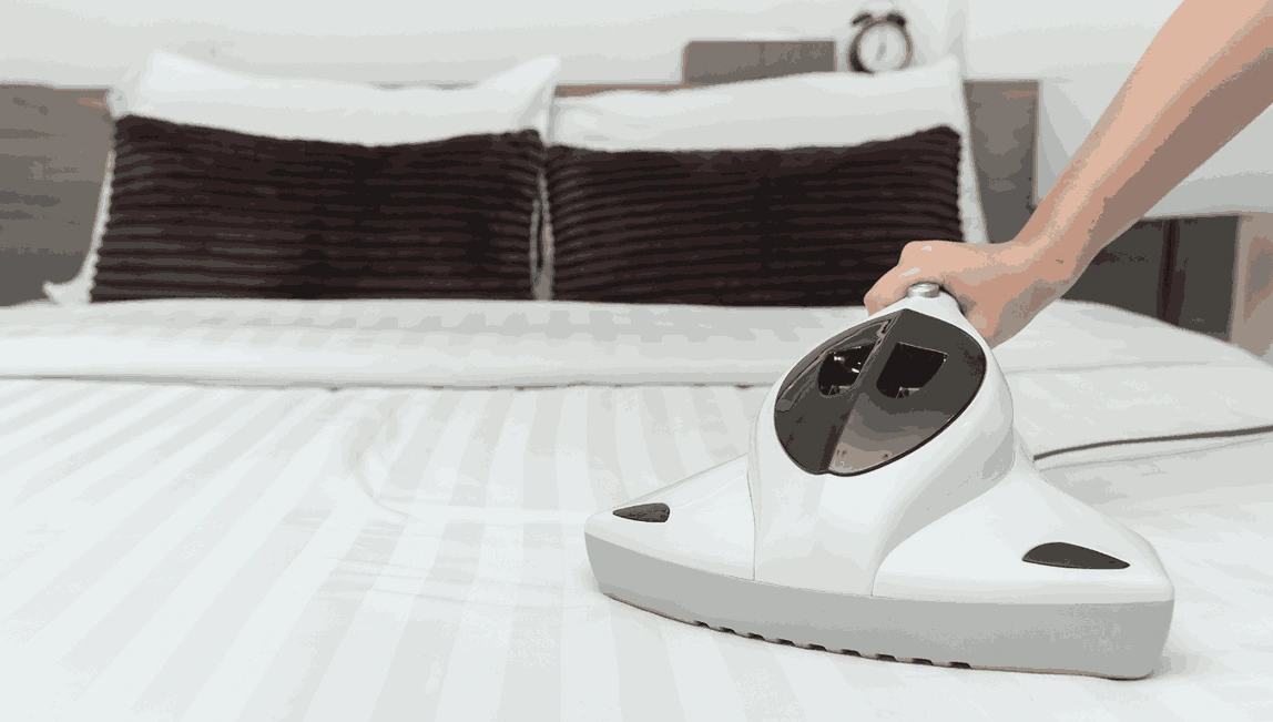Professional Mattress Cleaning Glen Iris